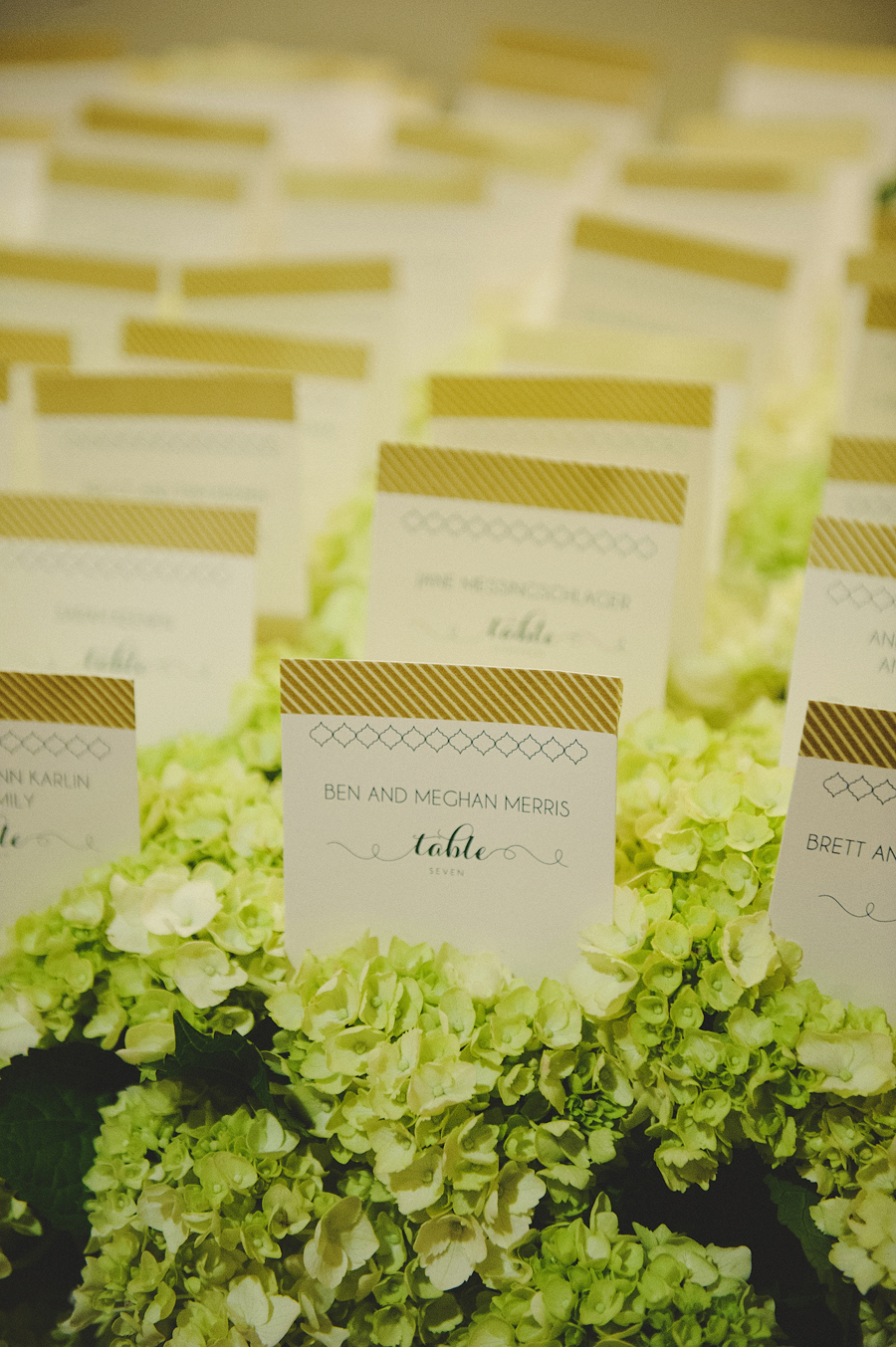 Escort cards in a bed of chartreuse hydrangea for wedding reception by Yellow Canary Floral & Event Design