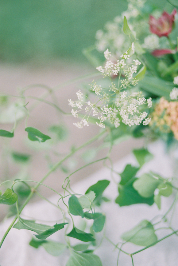 Outdoor wedding with simple, timeless elements. Floral design by Yellow Canary located in the Cincinnati and Northern Kentucky area. www.yellowcanaryonline.com Photo Lexi Vornberg