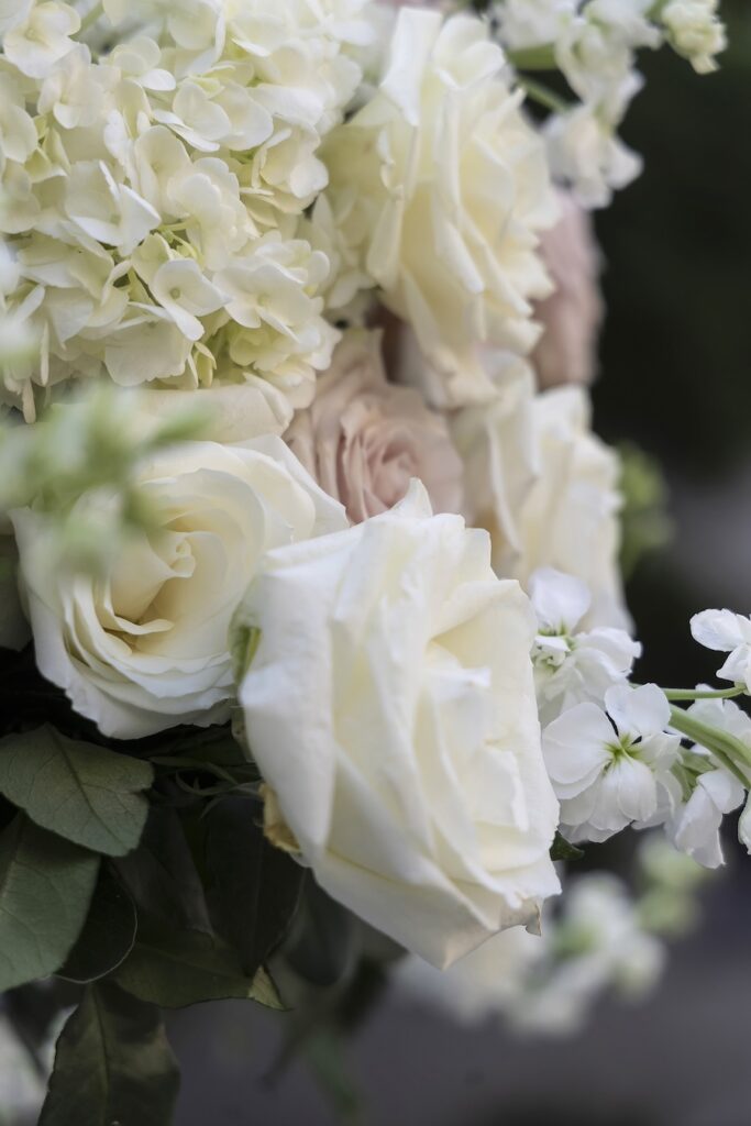 white and pink flowers for bouquet